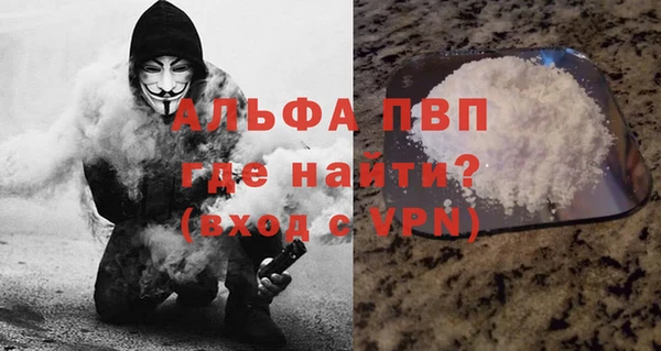 шишки Алзамай