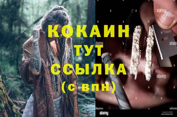 шишки Алзамай