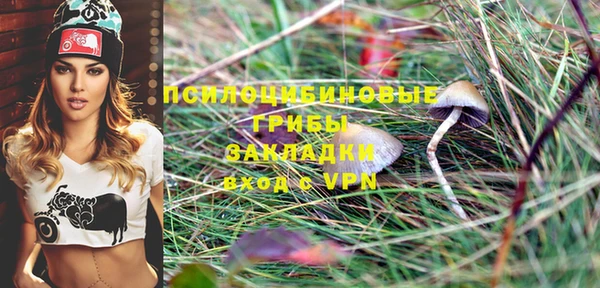 шишки Алзамай