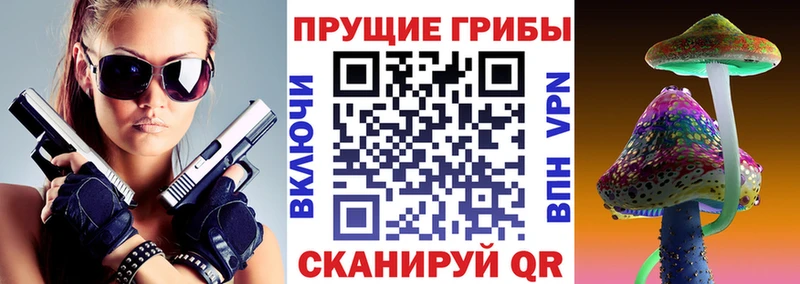Галлюциногенные грибы Psilocybine cubensis  Гвардейск 
